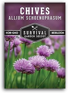 Survival Garden Seeds - Common Chives Seed for Planting - Packet with Instructions to Plant and Grow in Your Home Vegetable Garden - Non-GMO Heirloom Variety