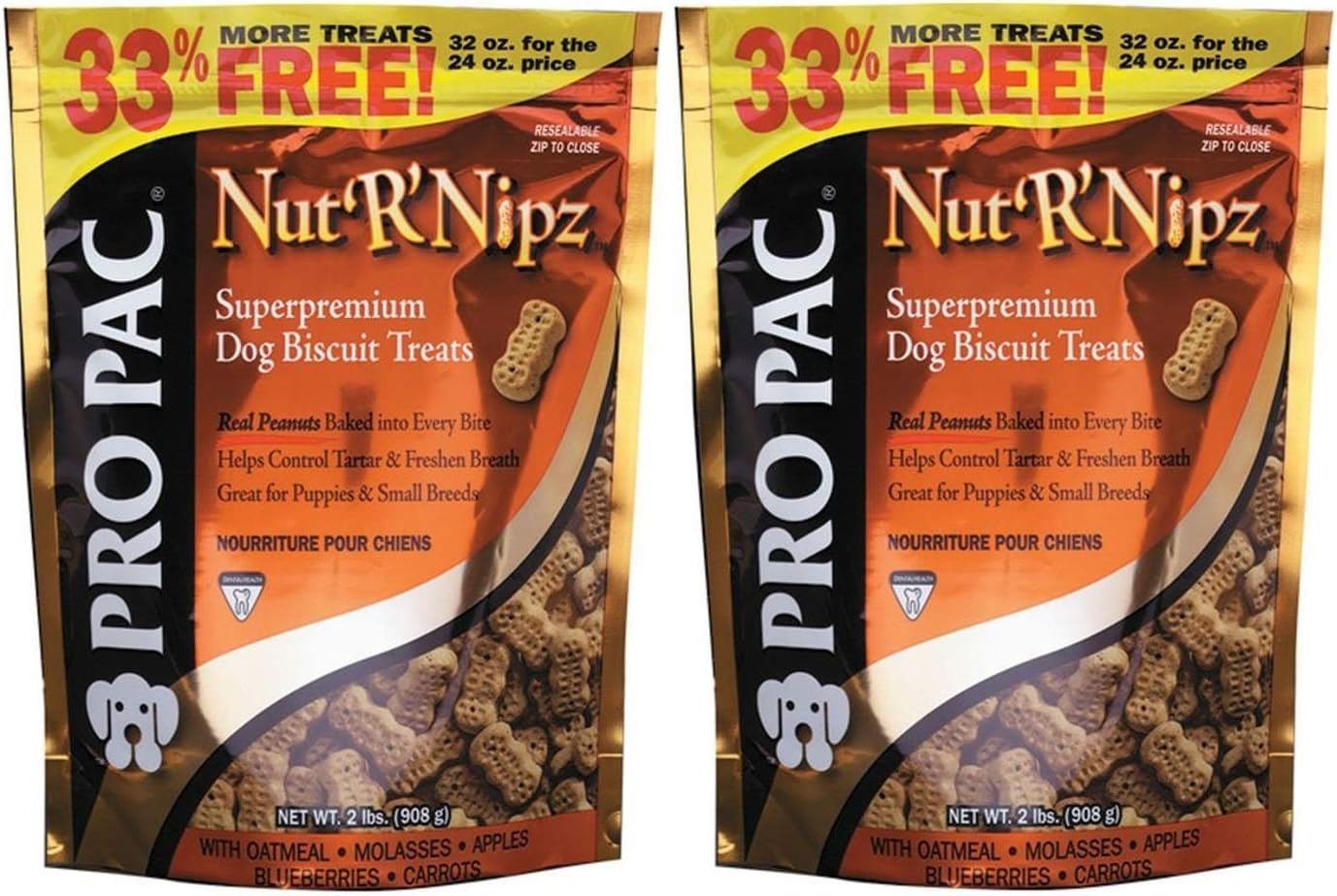 wire haired terrier chihuahua