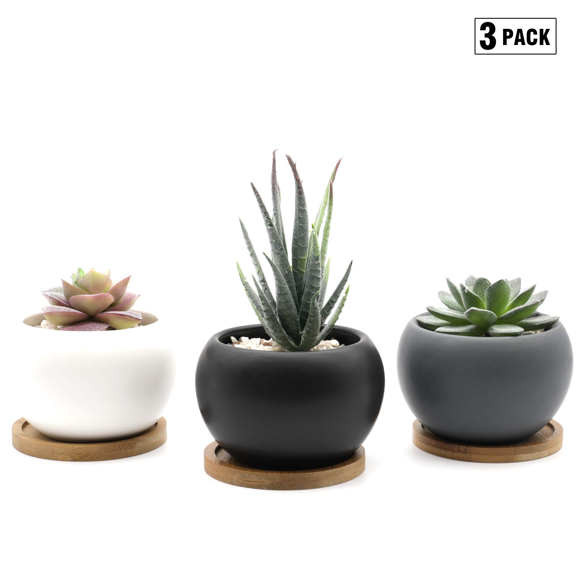 Natura Amans Succulent Plant pots 3 inch Succulent Planter Set of 3