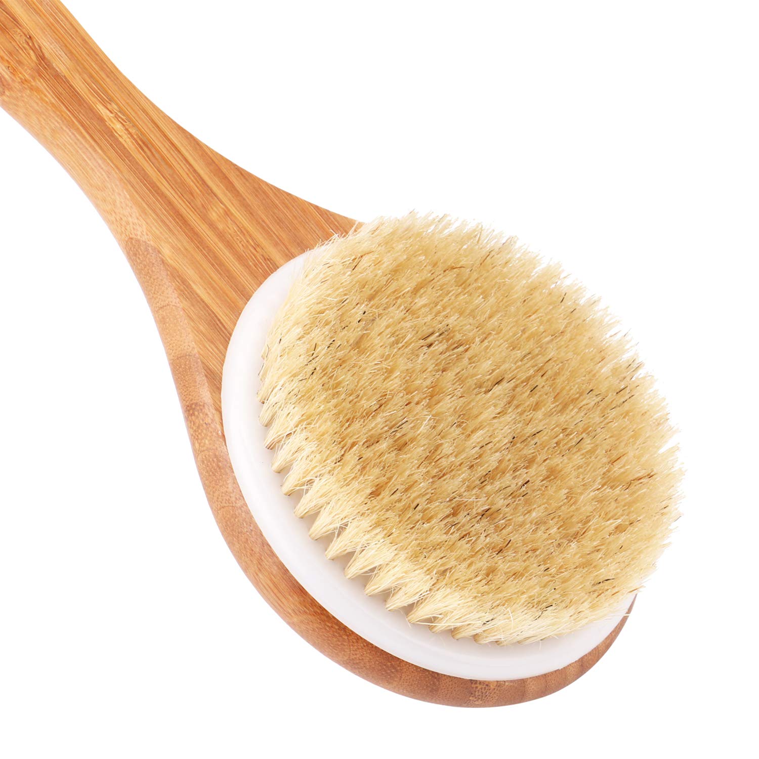 Body Brush with Long Bamboo Handle - Natural Bristle, Back Scrubber for Exfoliating Skin, Improve Circulation and Shower Brush for Skin Health - Wet or Dry body Brushing by THETIS Homes : Beauty