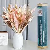 Dried Pampas Grass Decor, 17.5" Natural Fluffy Long-Lasting Dried Flowers Bouquet for Boho Home Wedding Party 005(85pcs)