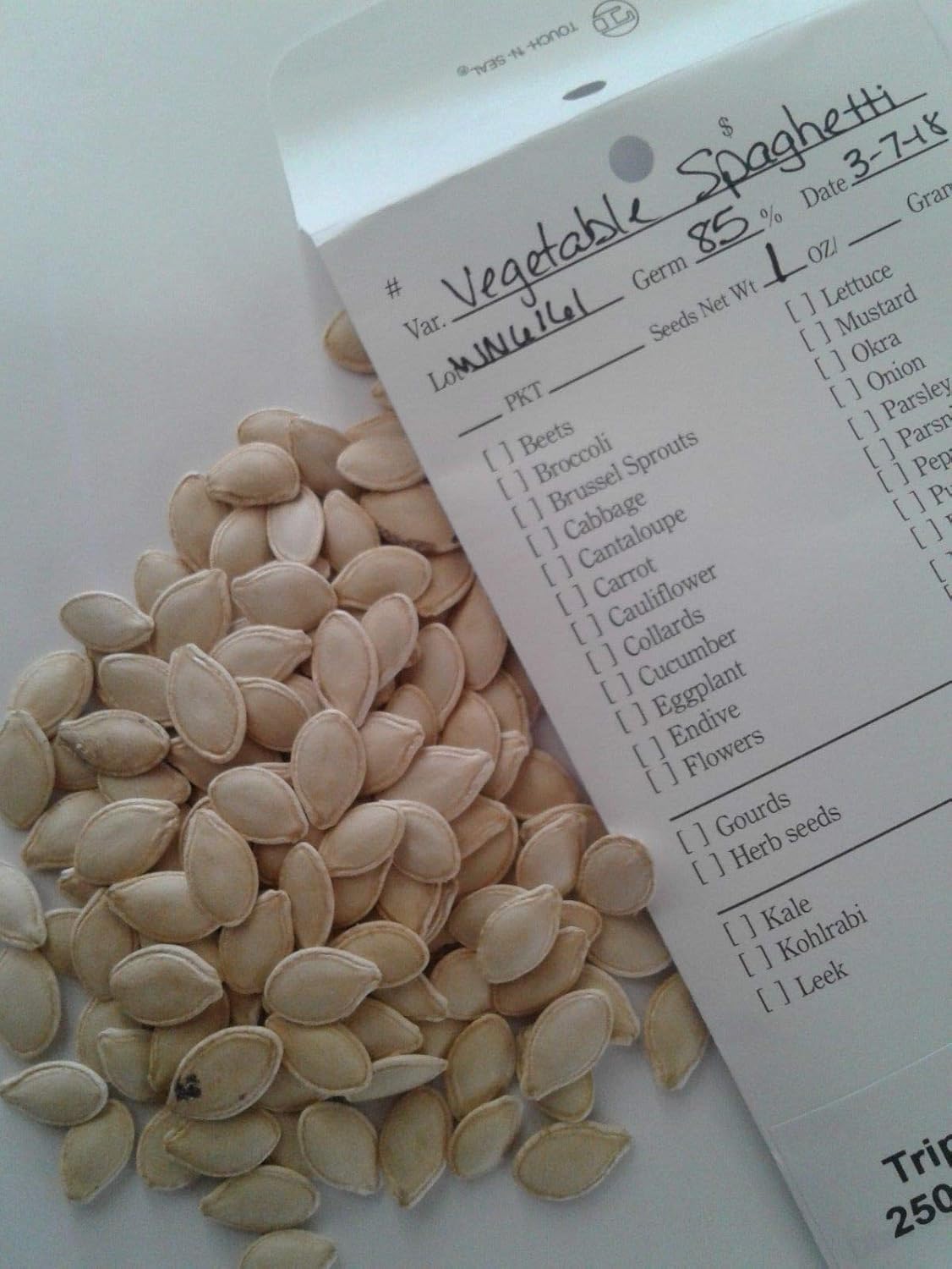 Portal Cool Las semillas de frijol - Eureka - planta de frijol ...