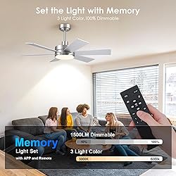 42 inch Ceiling Fans with Lights, Ceiling Fan with