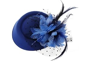 Meyrwoy Fascinators Hats for Women Girls Vintage Flower Tea Party Hat Cocktail Veil Women's Fascinators with Clips Black