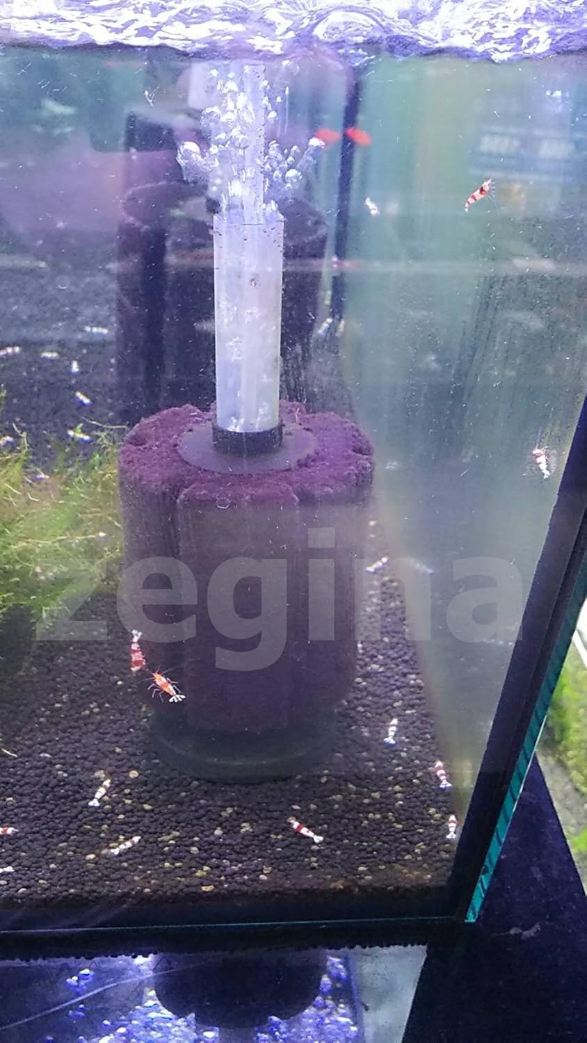 Amazon Co Jp Zegina 万能 エアポンプ フィルター スポンジ 小型魚 から 大型魚 マルチ 対応 水槽 ろ過 装置 Xyー2813 2個 セット 家電 カメラ