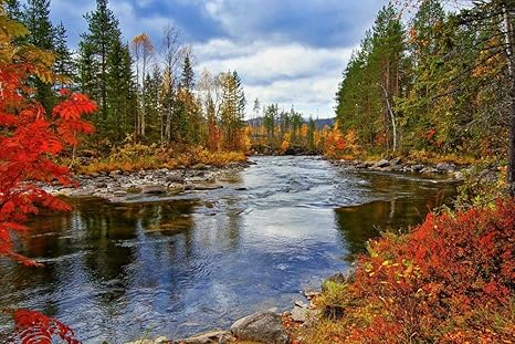 Amazon Co Jp 秋の森の川壁紙 自然壁紙 キャンバス ステッカー 印刷 壁紙ポスター はがせるシール式 写真 特大 絵画 壁飾り50cmx33cm Home Kitchen