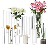 Mavora Max 10 Pack Glass Cylinder Vase for Centerpieces, Clear Flower Glass Vases for Wedding Decorations, Hurricane Floating Candle, Holder for Table Centerpiece Wedding Home Décor