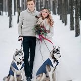Kuoser Dog Tuxedo Wedding Suit and Bandana Set 5 Sizes Small to XXL view 6