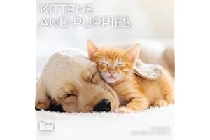 Kittens and Puppies Wall Calendar 2026 | 12" x 24" Open | Giftable Animal Calendar 2026 | Thick & Sturdy Paper for Organizing & Planning | Pacific Waters Press (Kittens and Puppies)