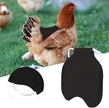 01 Hen Apron Chicken Jacket Feather Protection Fixer Back Wing Protector Saddle view 3