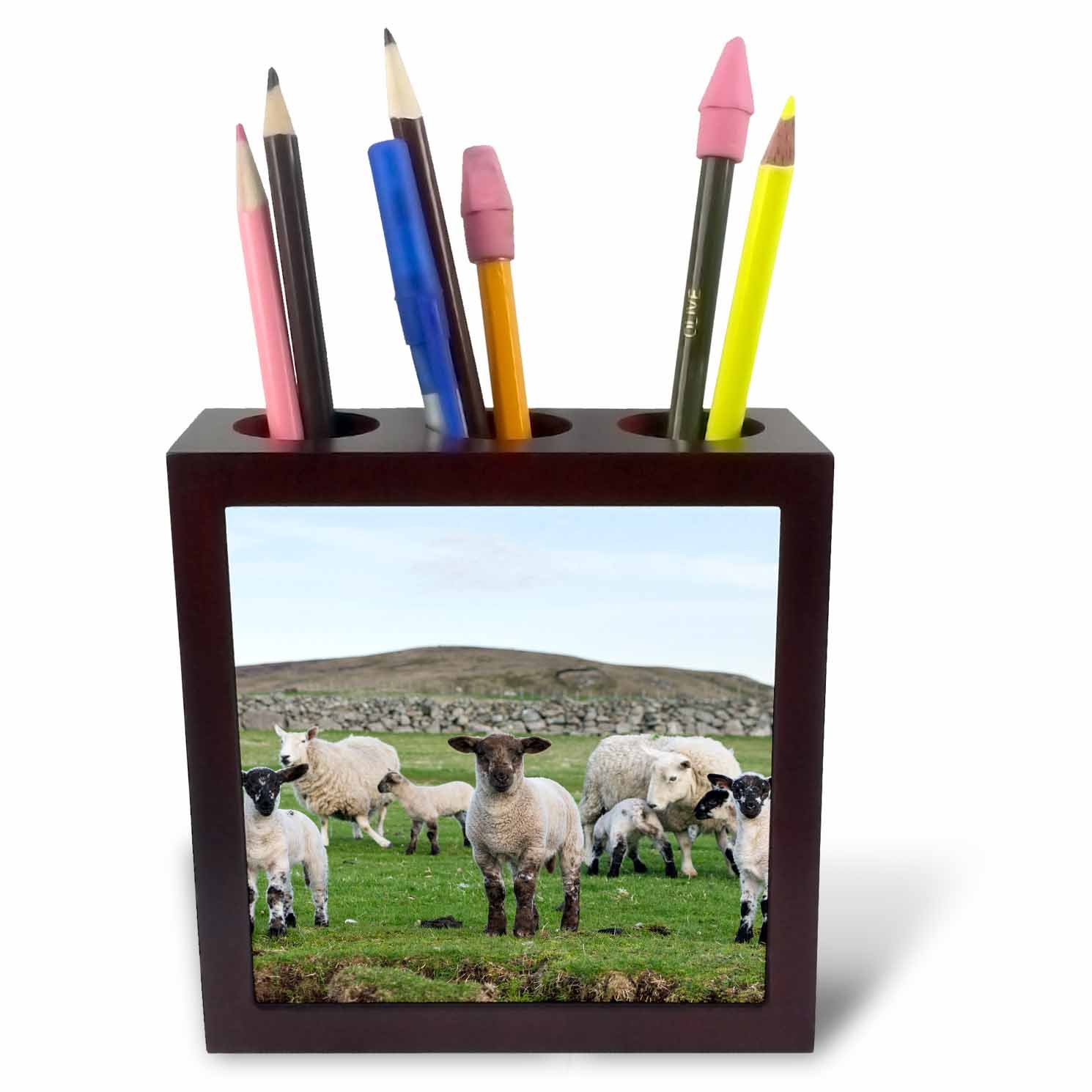 3dRose Shetland Sheep, a Traditional Breed of The Northern Isles, Scotland-Tile Pen Holder, 5-Inch (Ph_208096_1)