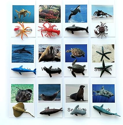 Montessori Animal Match Game Cards 