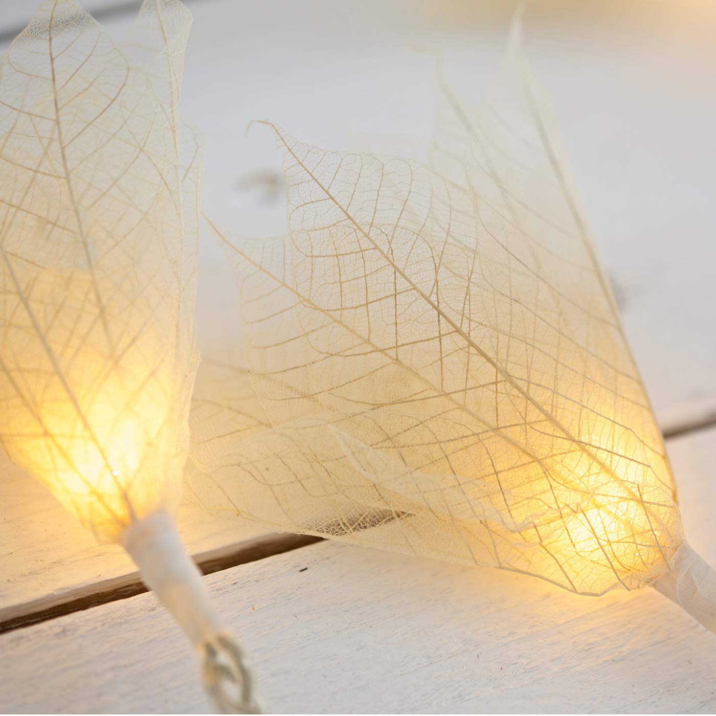 Blaze On Natural Leaf Fairy Lights (Cream Coloured) – 20 Warm White LED Lights – Handcrafted from Real Rubber Tree Leaves – USB Powered – Includes UK 3–Pin USB Adapter – Indoor String Lights