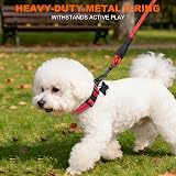 Taglory Reflective Nylon Dog Collar Safety Buckle XS Red view 6