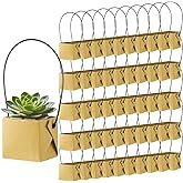 WXYWLIFB 50PCS Succulents Wraps,Succulent Gift Bags with Handles,Mini Kraft Paper Succulent Gift Box Basket for Wedding,Baby Shower,Succulent Plants Party Favors for Guests(Fits 2 Inch Pots)