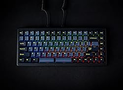 Mistel BAROCCO MD770 RGB Wireless Split Mechanical