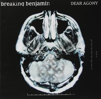 Breaking Benjamin 美しくも凶暴 怒りと悲しみが同居する彼の音楽 おにぎりまとめ