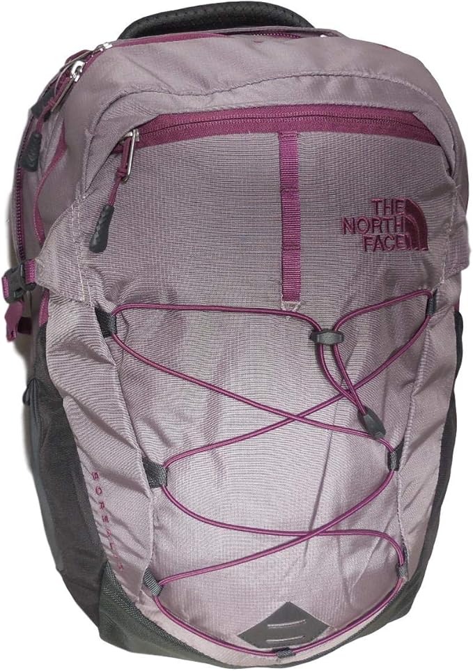 purple and grey north face backpack
