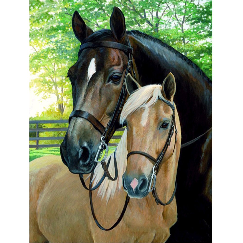 MXJSUA 5D Diamond Painting - Full Drill Kits - Adults - Horse - Black & White - 30x40cm
