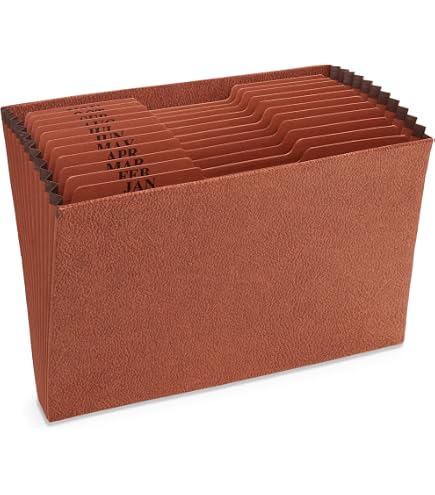 Amazon.com : Blue Summit Heavy Duty A-Z Accordion File Organizer