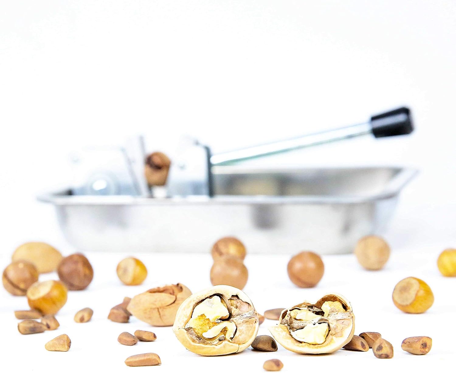 Mechanical Heavy Duty Nut Cracker Walnut Pecan Hazelnut Sheller with Storage Tray by inDomit: Kitchen & Dining