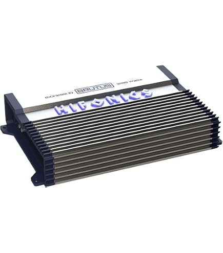 Amazon.com: Class D 1600W RMS 1 Ohm Mono Car Subwoofer Amplifier