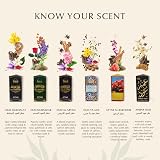 Dukhni Maamoul Attar Oil Set 6x6ml Assorted Mini Roll-On Perfumes view 4