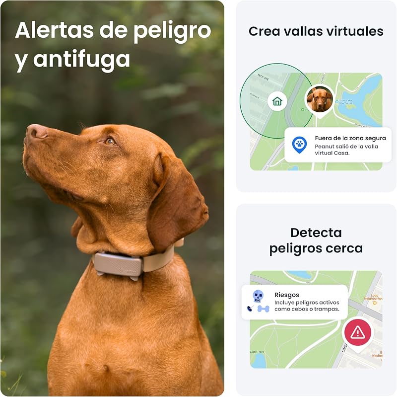 - Cães GPS | Edição 2025 | Nº 1 no mercado | Localização em Tempo Real | Alertas Anti-Fugas | Monitor de Atividade | Alertas de Saúde | Rastreio de Latidos (Castanho)