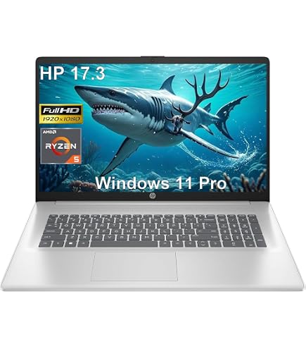 Amazon.com: HP 2025 17.3
