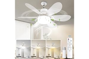 AKT LIGHTING 20" Ceiling Fan with Light Remote Control, Socket Fan Light Original with Light Replacement for Light Bulb, Ceiling Fan for Bedroom, Kitchen, Kid’s Room, 40W/3000K-6500K AS SEEN ON TV
