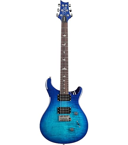 Amazon.com: PRS SE Custom 24, Slate Blue with Gigbag : Musical