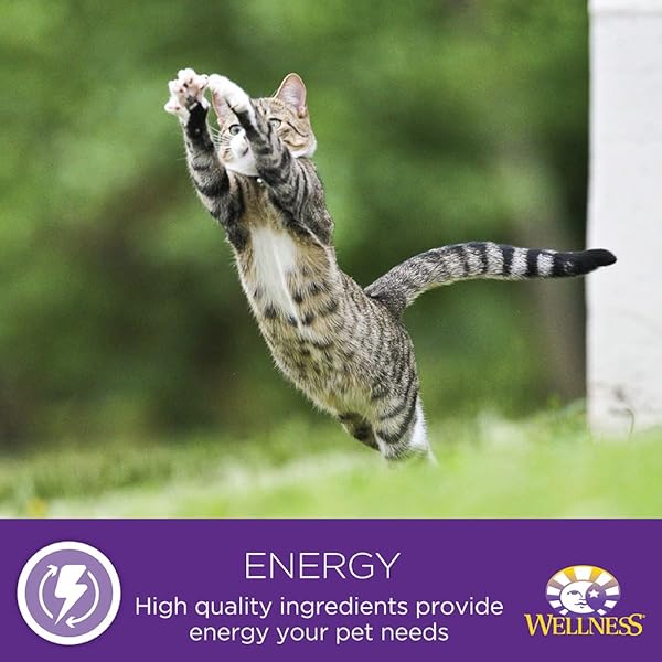 WELLNESS COMPLETE HEALTH GRAIN FREE CHICKEN & HERRING NATURAL WET CANNED CAT FOOD, 3-OUNCE CAN (PACK OF 24)