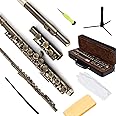 EASTROCK Closed Hole Flutes C 16 Key for Beginner, Kids, Student -Antique Flute with Case Stand and Cleaning kit