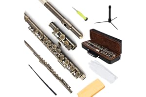 EASTROCK Closed Hole Flutes C 16 Key for Beginner, Kids, Student -Antique Flute with Case Stand and Cleaning kit