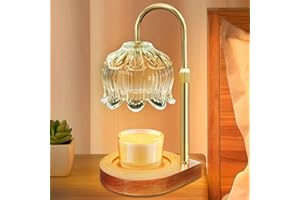 Gugsey Electric Lamp Candle Warmer with Timer - Dimmable Candle Warmer Lamp, Gifts for Girls, Flower Wax Warmer Candle Lamp for Home Decor, Farmhouse, Clear
