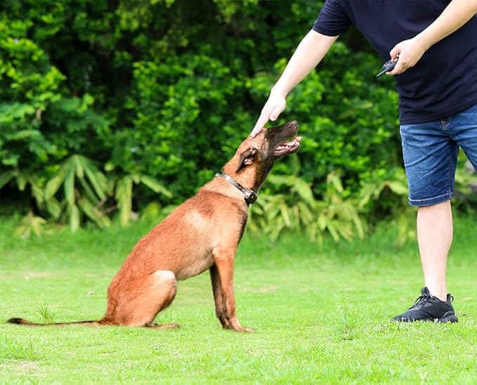 peston dog training collar