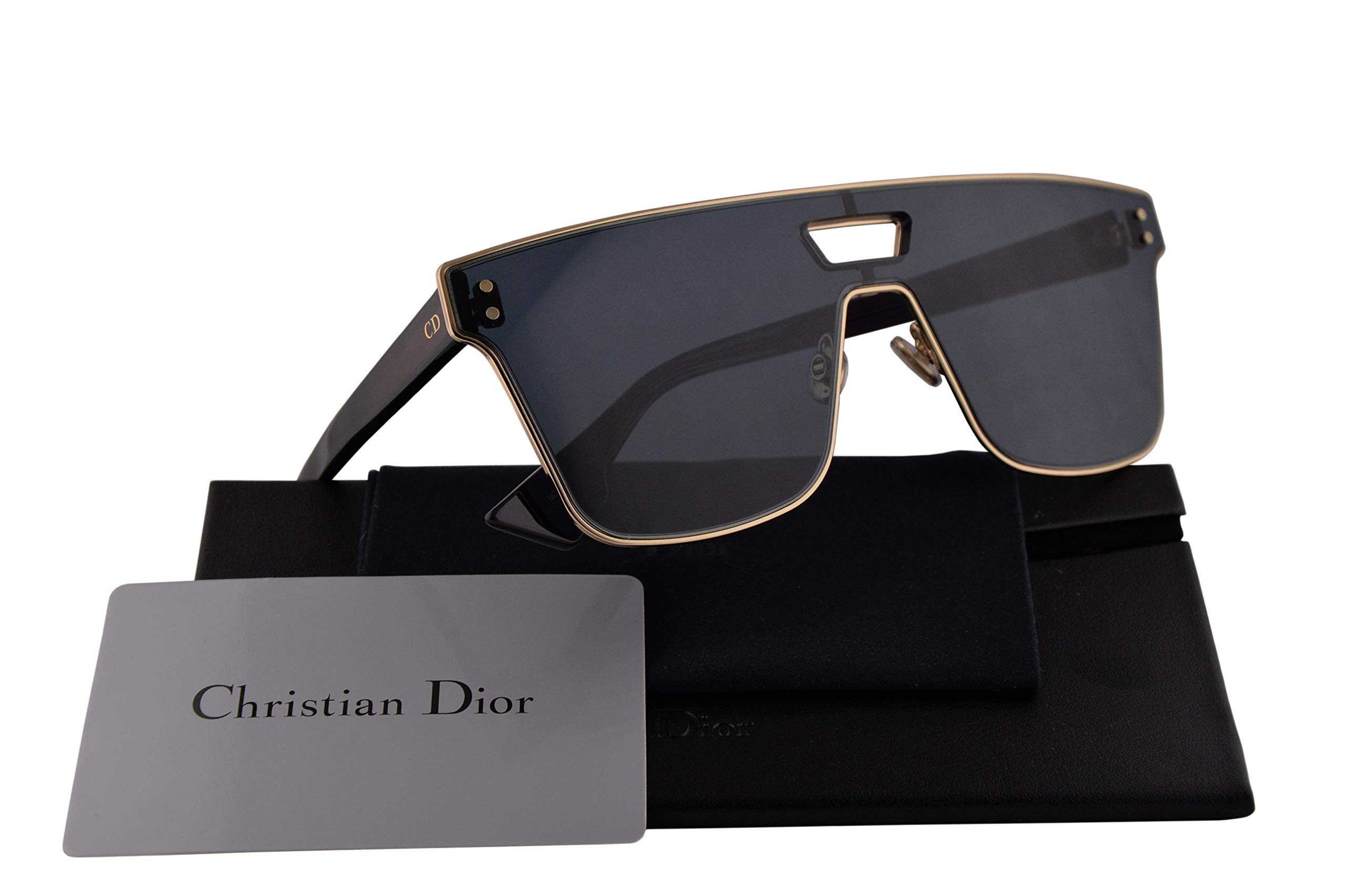 diorizon 1 sunglasses