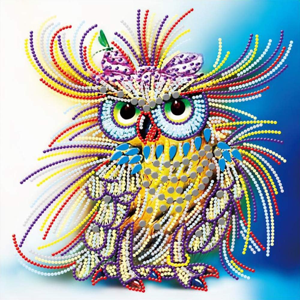 MXJSUA DIY Special Shape 5D Diamond Painting by Number Kits Rhinestone