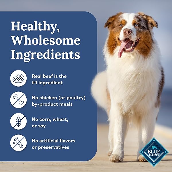 BLUE BUFFALO TENDER SHREDS BEEF & CHICKEN TOPPERS IN SAVORY BROTH, NATURAL DOG FOOD COMPLEMENT, BEEF, 2.5-OZ. POUCH, 24-COUNT
