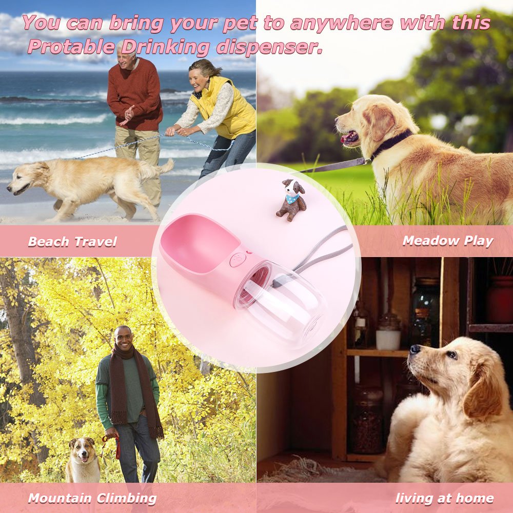 dog drinking dispenser