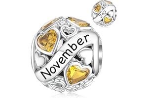 DALARAN Birthstone Charms for Charms Bracelet 925 Sterling Silver Heart Bead Happy Birthday Charms for Women