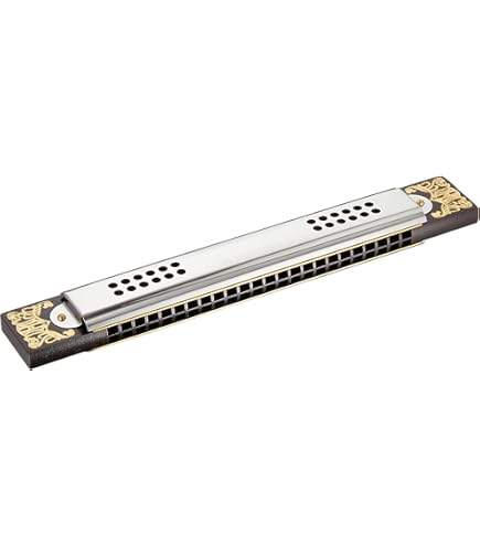 Amazon.com: Hohner Accordions Hohner Harmonica 53/48 Tremolo
