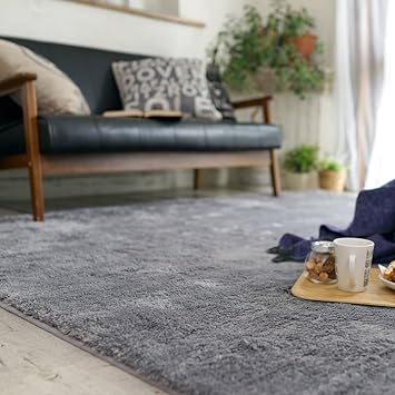 Amazon ラグ 洗える ラグマット カーペット じゅうたん 夏用 セレクト