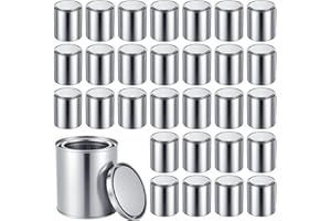 JZTKQTM Lot de 30 boîtes de peinture vides avec couvercles, 8,4 x 9,4 cm, petit seau avec couvercle, multi-usages pour peintu