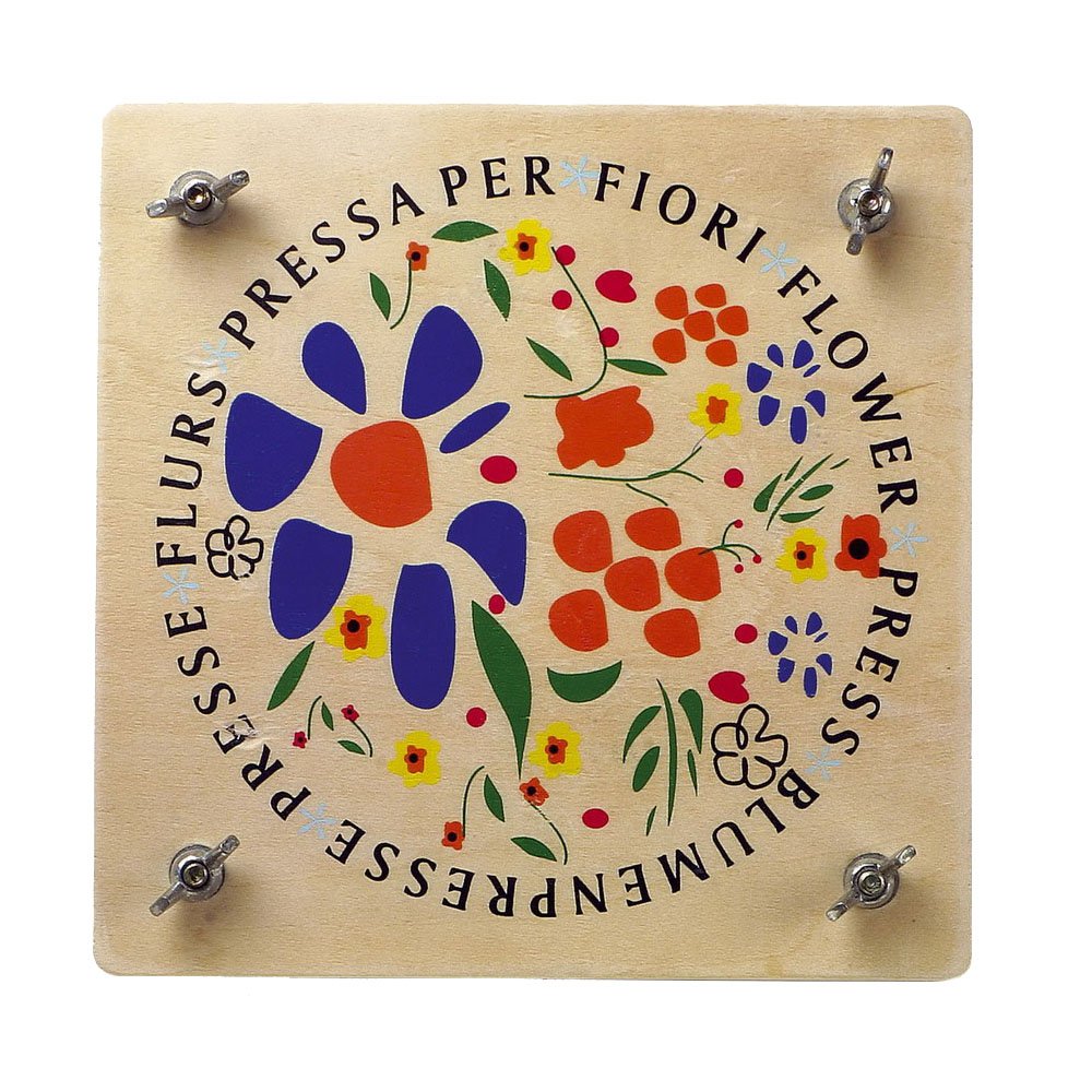 attività Montessori sul fiore