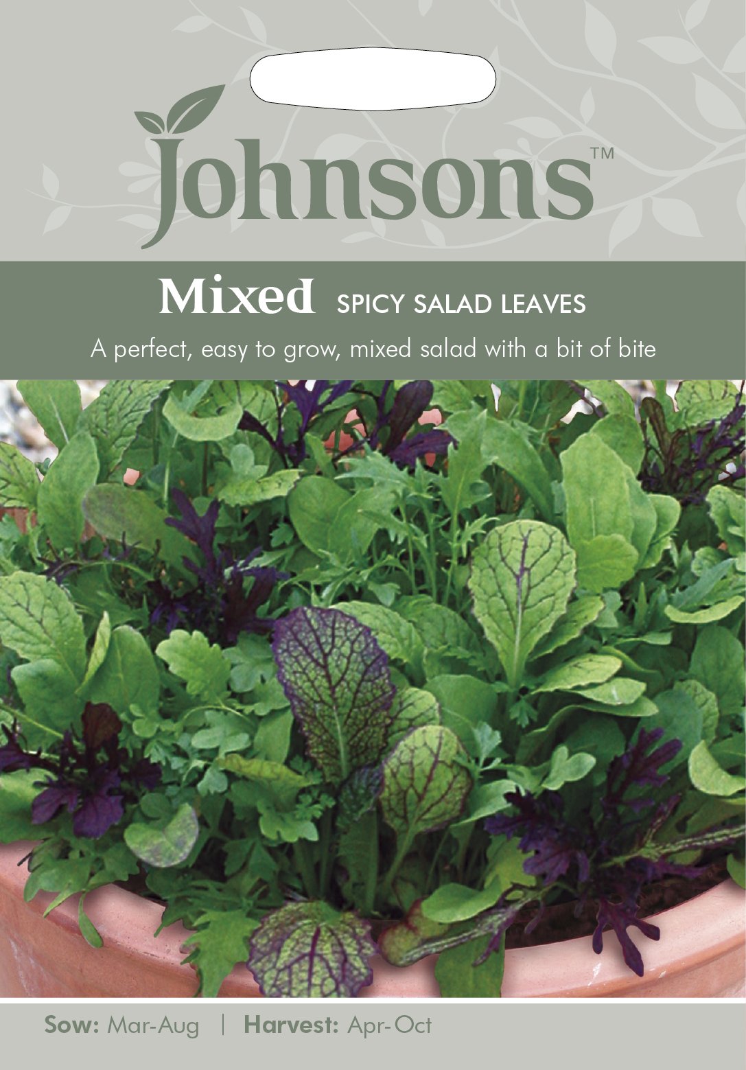 Johnsons 11230 Vegetable Seeds, Mixed Spicy Salad Leaves