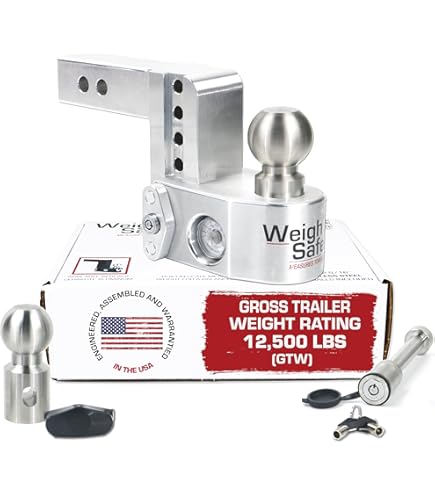 Amazon.com: Weigh Safe WS06 - Keyed Alike Dual Pin Lock and 