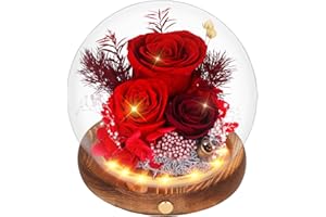 OPO KIDS Preserved Real Flowers, Flowers for Delivery Prime, Gifts for Women, Birthday Presents for Wife/Mom/Grandma, Preserved Rose in Glass Dome, Red Preserved Rose for Anniversary