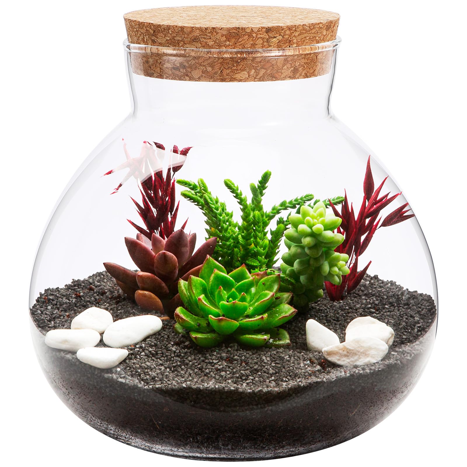 Eco-Friendly Glass Terrarium Jar with Cork Lid - Diy Micro Landscape Bottle for Succulents Ferns and Decorative Plants - Ideal for Home Office Decor and Storage