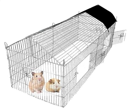 lionhead rabbit size